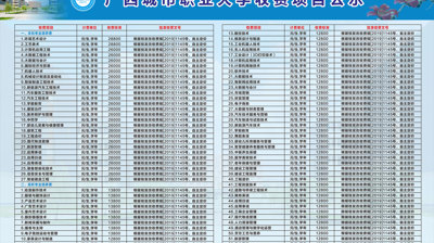 2024年玩球,玩球(中国)收费项目公示